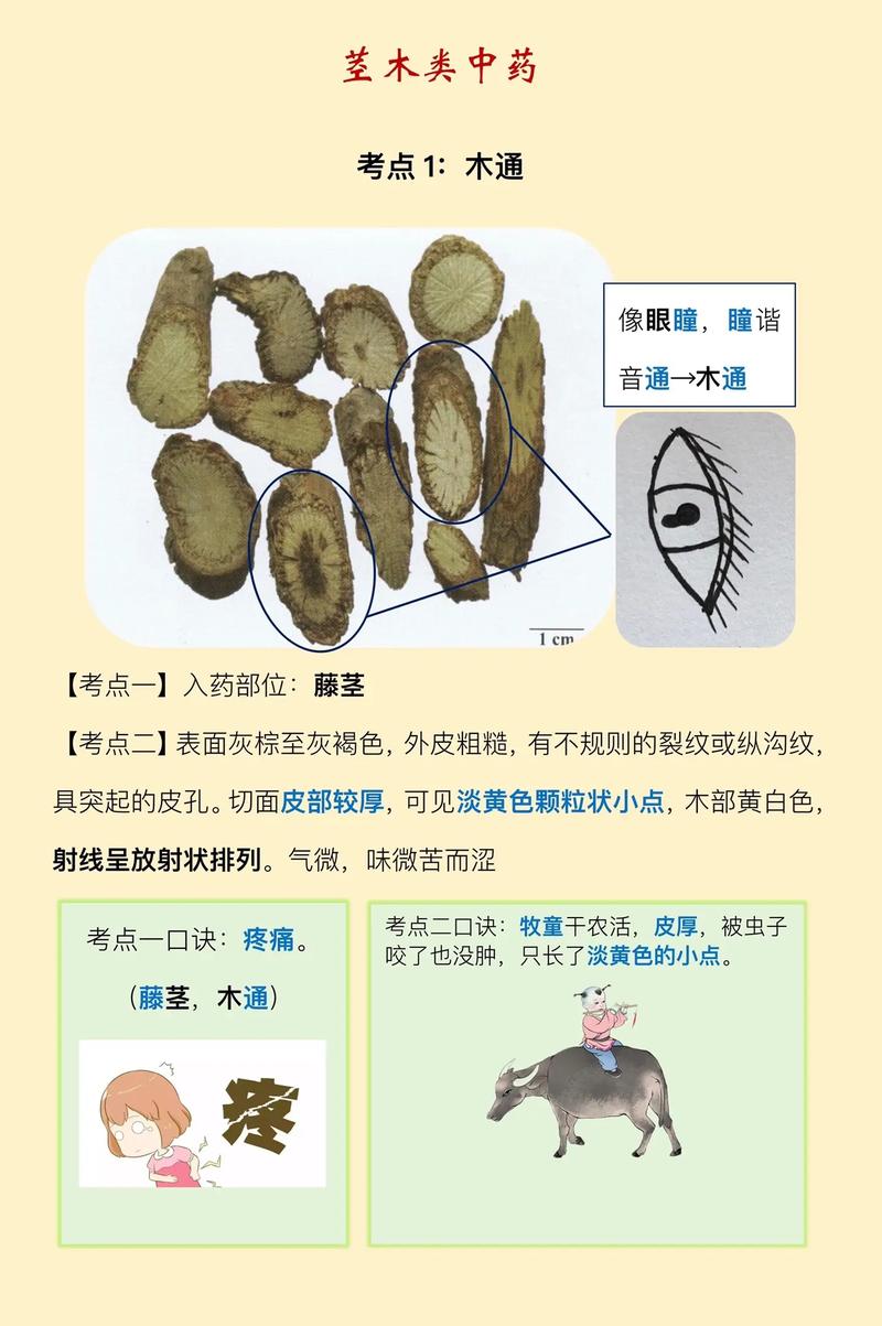 吉康印度代购希爱力是真的吗？避坑指南与正品鉴别全攻略